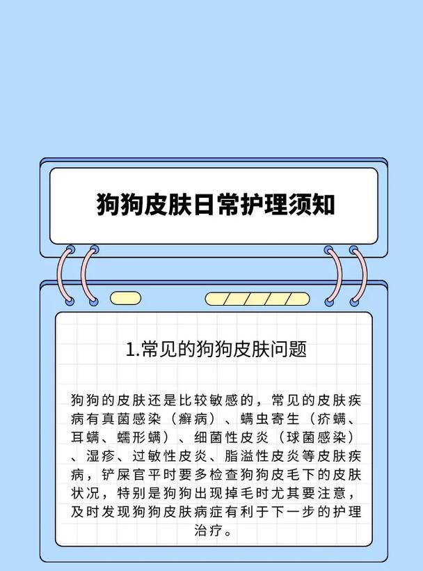 养护新到家的小狗，快乐成长（以宠物为主，细节为重）