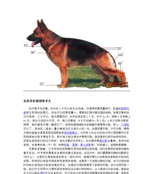 英国斗牛犬的饲养方法（为你的宠物提供健康快乐的生活）