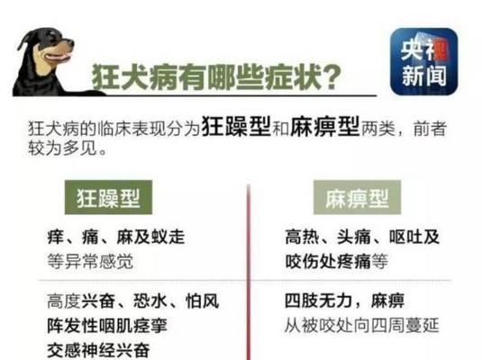 以古牧扰人清梦的原因剖析（宠物对人类生活的影响及如何解决以古牧扰人清梦问题）