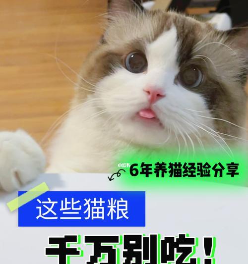 如何鉴定优质猫粮（为宠物选择健康食品的实用指南）