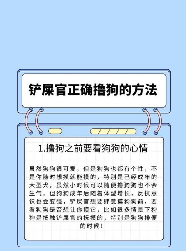 揭秘柯基犬为何会吃自己的便便（以宠物为主，探讨柯基犬的奇怪习惯）