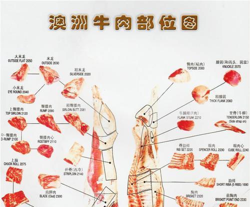 如何科学饲养牛头獒（牛头獒饲养的注意事项及经验分享）