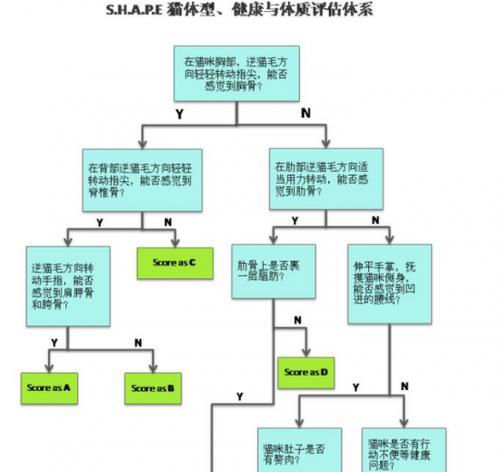 英种斑点兔的饲养方法（如何照顾您的英种斑点兔）