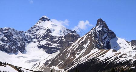 恩特雷布赫山地犬的饲养指南（以宠物为主，让你成为贴心的主人）