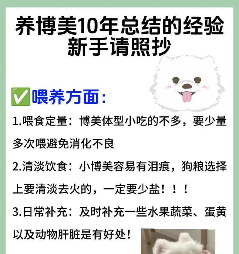 训练博美犬不再爱叫！（掌握这些技巧，你也可以让你的宠物安静下来。）