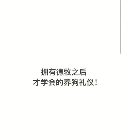 训练宠物狗懂礼貌的技巧（培养狗狗礼貌的秘诀及实用方法）