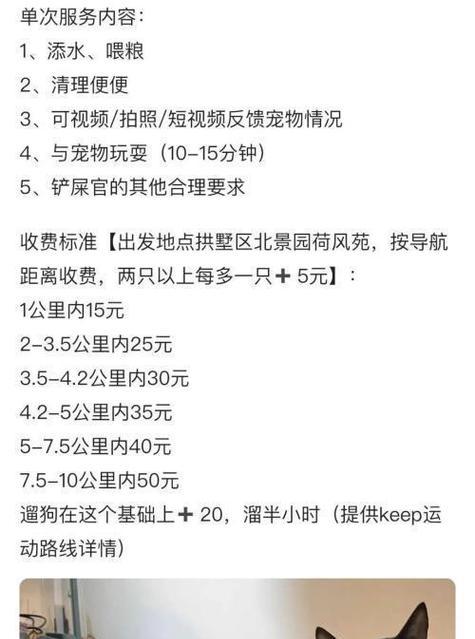 教你如何解决遛狗时拉不住狗狗的问题（宠物教育，让你的狗狗听话）