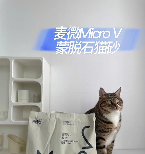 猫咪用沙土好不好？（探讨猫咪用沙土的利弊）