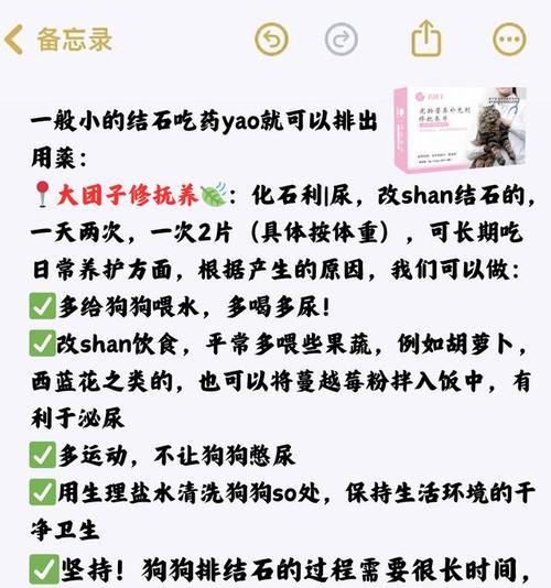 轻松喂药，让宠物享受口感和健康（药片不再成为难题，教你5种喂药方法）