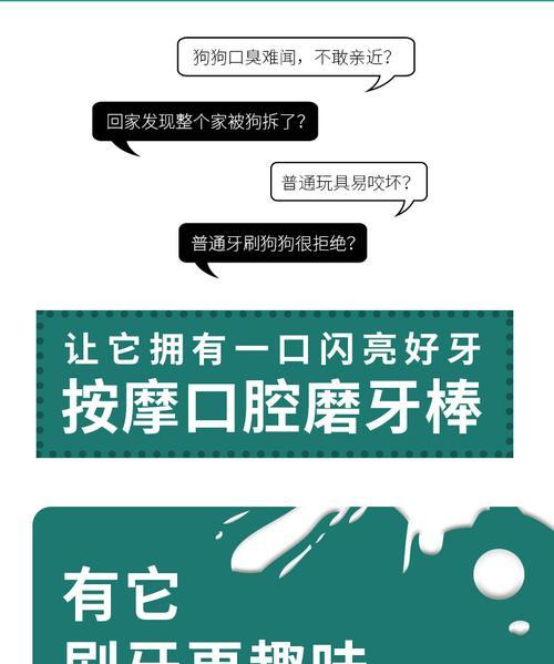 让你的柯基犬拥有清新的口气（让你的柯基犬拥有清新的口气）