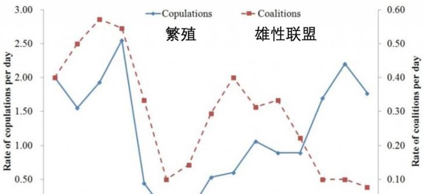 婴猴饲养方法全解析（如何科学喂养婴猴？）