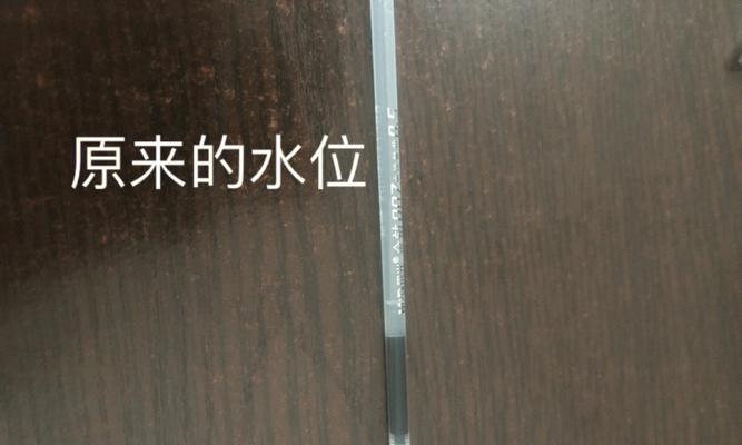 如何正确饲养笔尾树鼠（从饲料到环境，全方位让你了解笔尾树鼠的饲养方法）