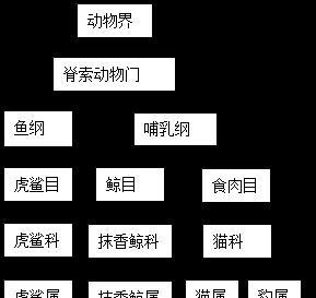 如何正确饲养柽柳沙鼠？（学习科学养殖方法，让宠物健康成长）