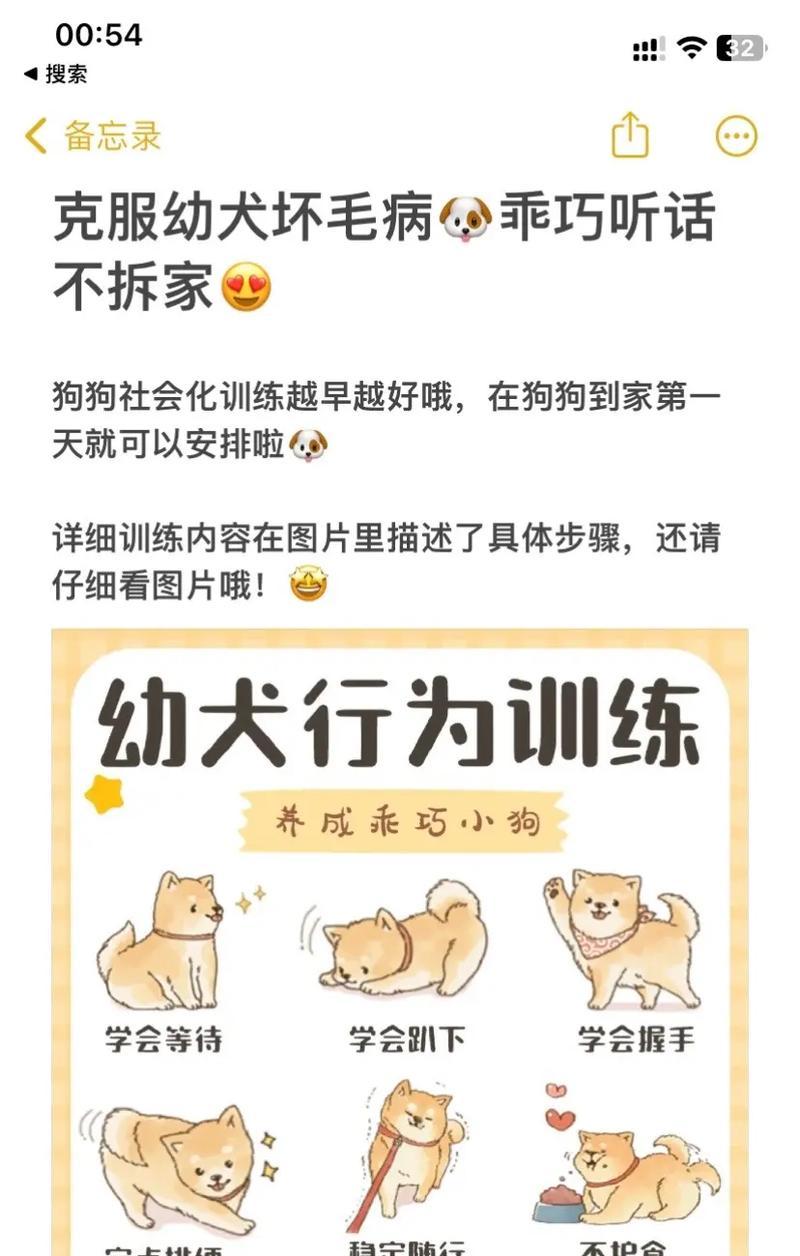 掌握拉布拉多幼犬的喂养常识，打造健康快乐的宠物生活（饲养拉布拉多犬，培养健康成长的秘诀）