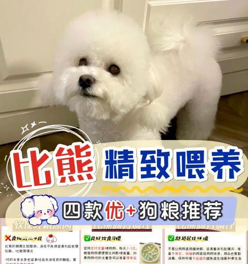 平价养狗的秘诀（如何以较低成本养活可爱的比熊犬，让它过上健康快乐的生活？）