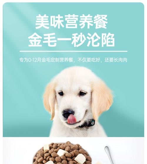 幼犬期的小金毛饮食指南（适宜食材与注意事项，助力宠物健康成长）