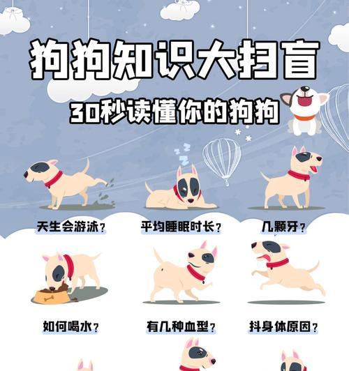 幼犬养育指南（培养健康快乐的幼犬生活）