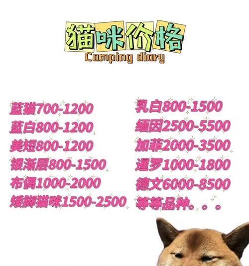 拉布拉多犬的价格（了解拉布拉多犬价格的因素和市场行情）