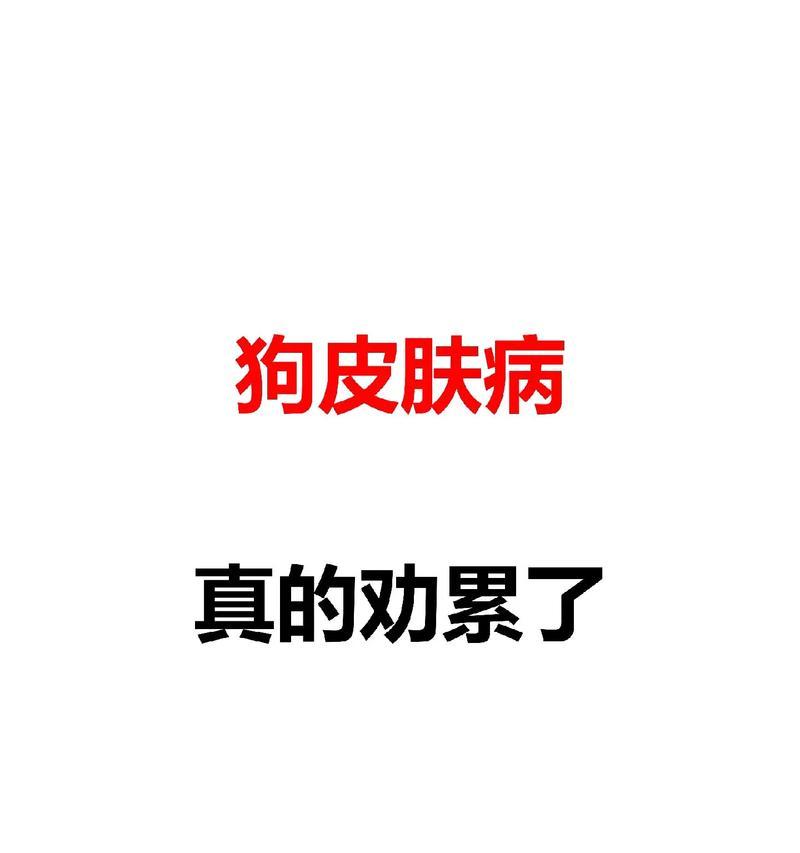 狗狗常见的7种皮肤问题解析（探索狗狗皮肤问题的七大常见症状及其解决方法）