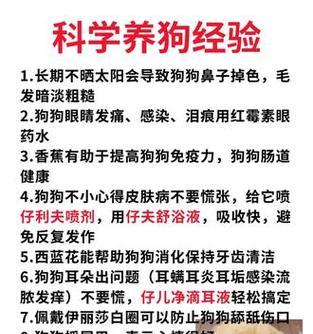 探究狗狗毛发干燥粗糙的原因（揭秘4个与狗狗毛发干燥粗糙有关的原因）