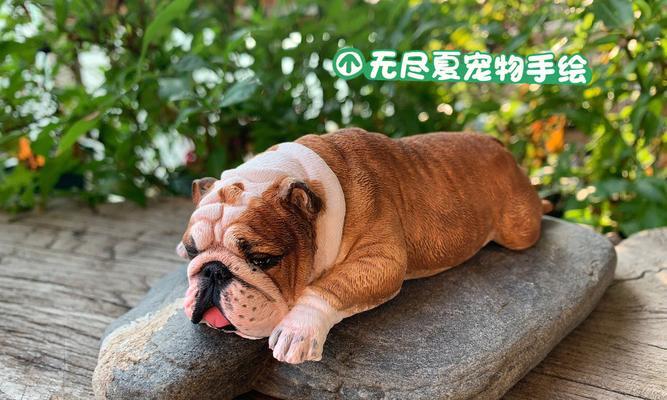 英国斗牛犬（探索英国斗牛犬的友善本质与特点）