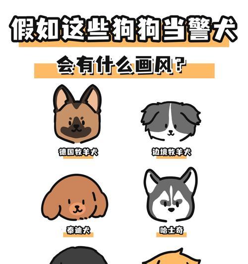 选择家养宠物犬的最佳品种（金毛、边牧和德牧，哪个适合作为家庭宠物？）