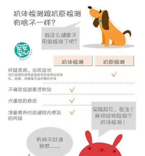 宠物犬猫的水需求与作用（犬猫每天所需饮水量及水的重要性）