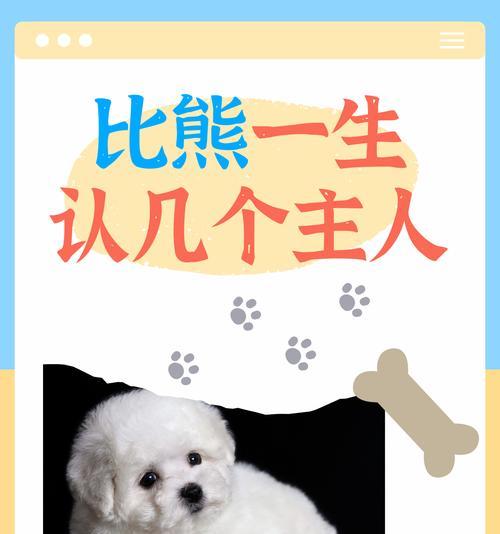 比熊犬——迷人的宠物伴侣（优点多多，带来无尽欢乐）