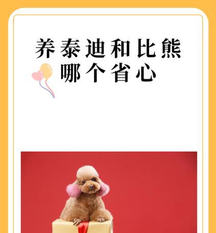 正确饲养比熊的方法（了解比熊犬的特点，让它健康快乐）