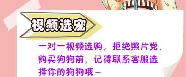 如何正确选择泰迪犬？（了解不能选的泰迪的特征，避免错误选择）