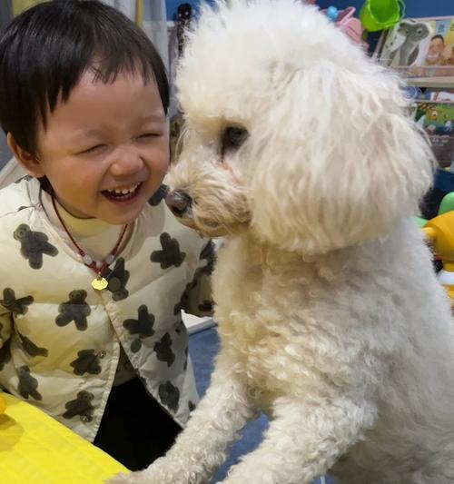 最适合与宝宝一起养的狗狗品种（选择一只亲切可靠的陪伴伙伴）