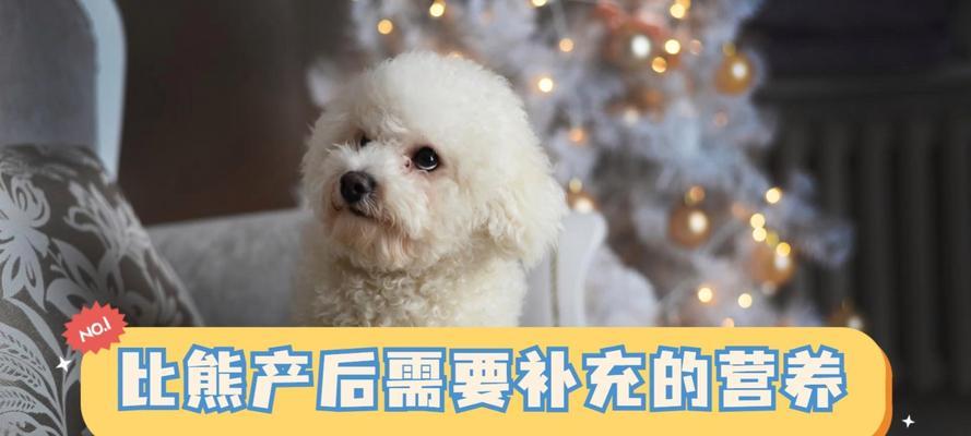 狗狗打完针后的饮食安排（狗狗的食谱及注意事项）