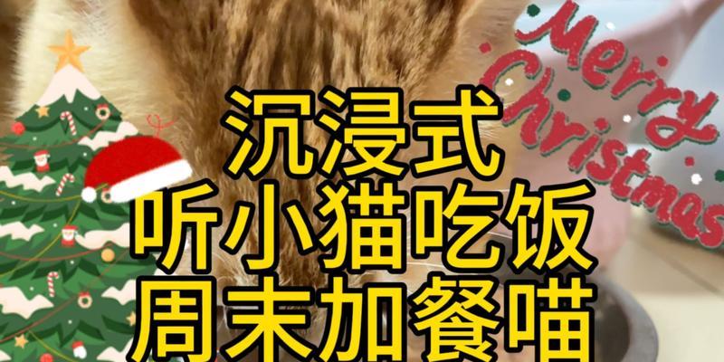 猫咪的加餐秘籍（给你的猫咪加餐，让它健康快乐一生）