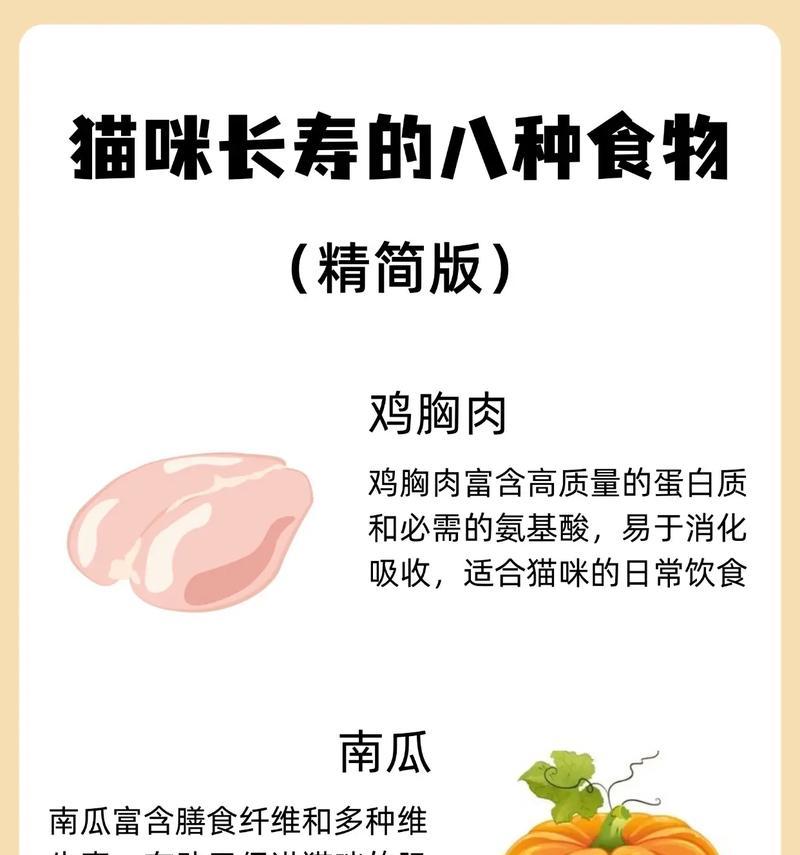 猫咪生小猫后的饮食需求（小猫成长的关键食物及饮食安排）
