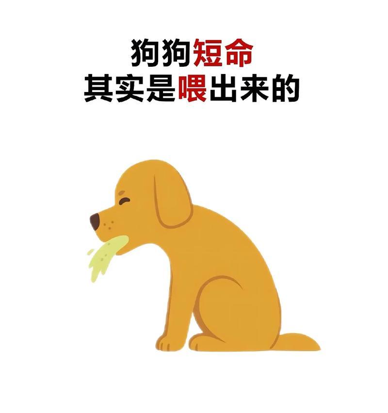 狗狗孕期禁食物揭秘（了解狗狗孕期中不能食用的食物，守护母犬和幼崽的健康）