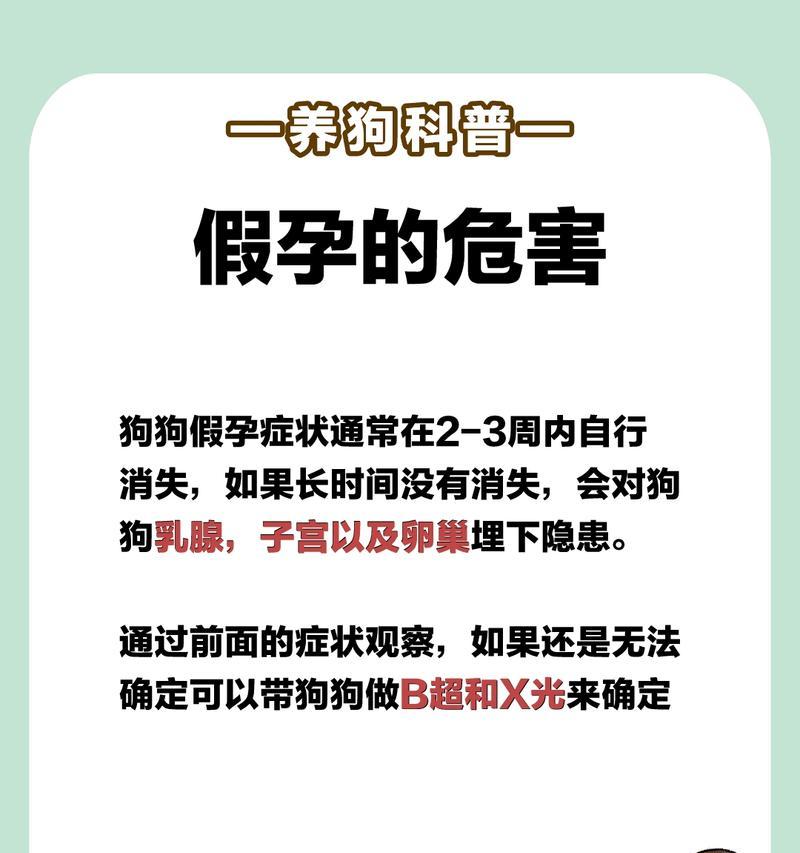 金毛假孕的症状及处理方法（了解金毛假孕症状，保护你的宠物健康）