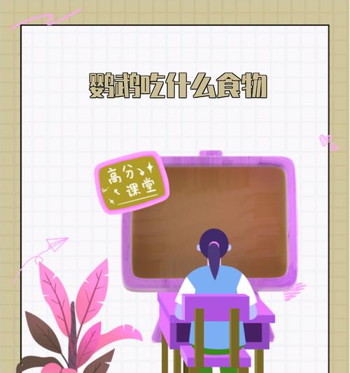 鹦鹉怀孕饮食指南
