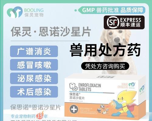 狗感冒的治疗方法及适用感冒药物（为你的爱犬选择合适的感冒药物）