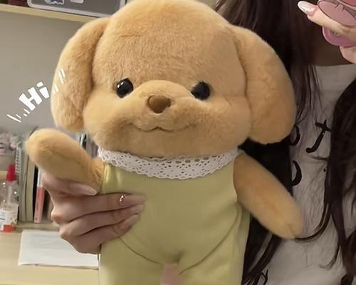 如何选择适合泰迪的玩具？（泰迪狗的玩具选择要点及注意事项）