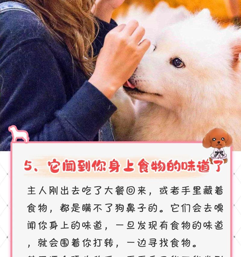 狗狗为什么会添主人？（探究狗狗与主人之间特殊的情感纽带）