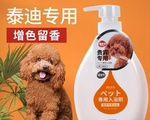 给泰迪洗澡的正确方法（让你的泰迪宠物保持干净健康的关键技巧）