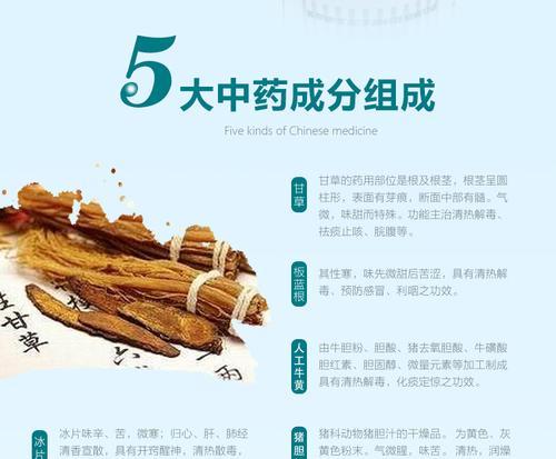 治疗泰迪狗狗咳嗽的药物选择（了解泰迪狗狗咳嗽的原因及治疗方法）