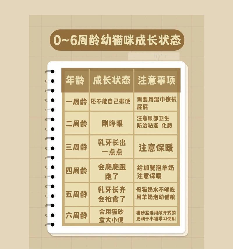宠物换毛的注意事项（了解宠物换毛的关键要点，让你的宠物健康度过换毛期）
