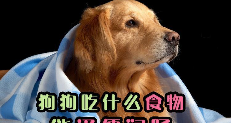 如何避免母狗怀孕期间流产（营养均衡饮食和合理运动是关键！）
