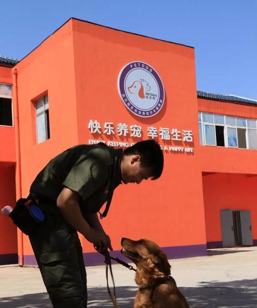 单位训犬，为了更好的工作环境（培养性强、协作能力强的工作伙伴）