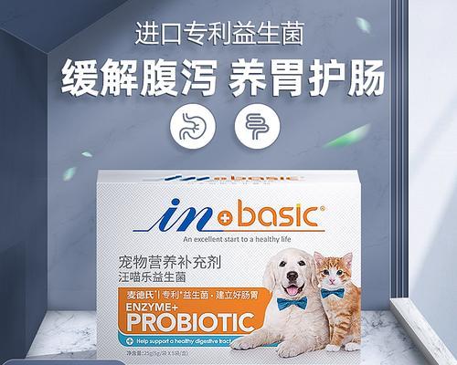 如何给泰迪处理呕吐发烧的问题？（药物治疗是关键，但是要慎重选择）