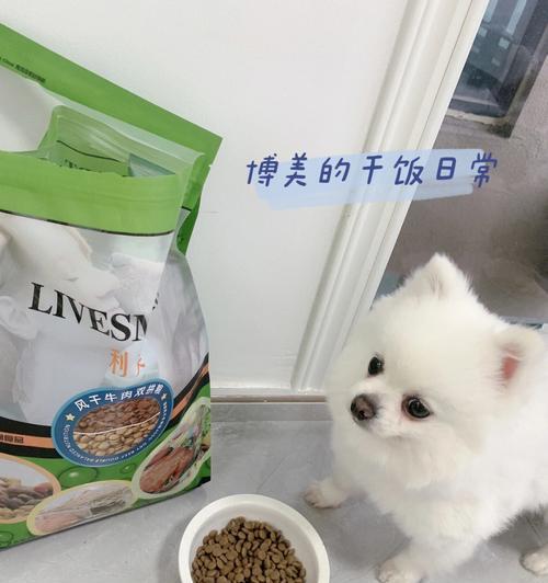 3个月博美的合理饮食安排（科学养育关键，培养健康博美）