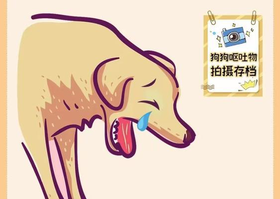 狗吐的位置与健康状况有关吗？（探索狗吐的原因和相关注意事项）