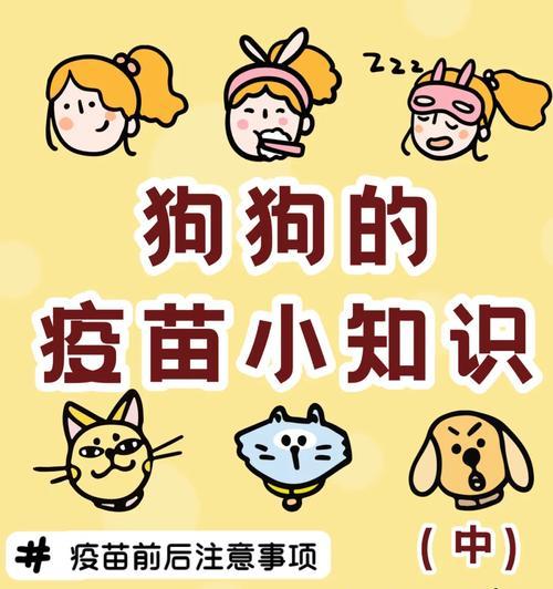 如何在买回幼犬后照顾它们的需要（养狗初学者的关键事项和注意事项）