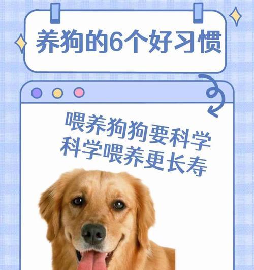 狗狗的饮食要点（为你的狗狗提供营养均衡的饮食）